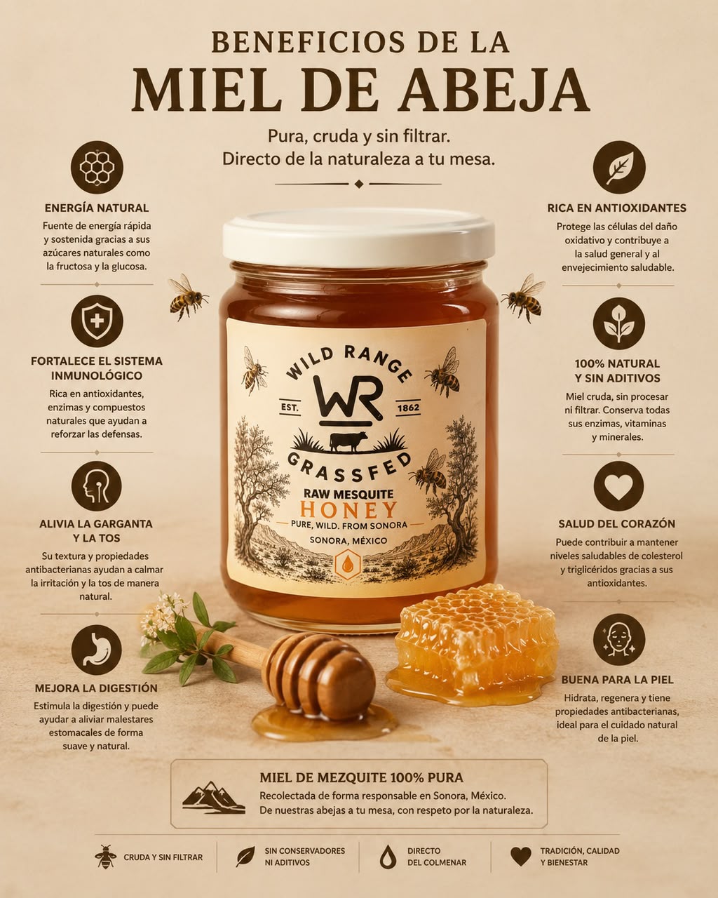 Infografía de beneficios de Miel de Mezquite Cruda
